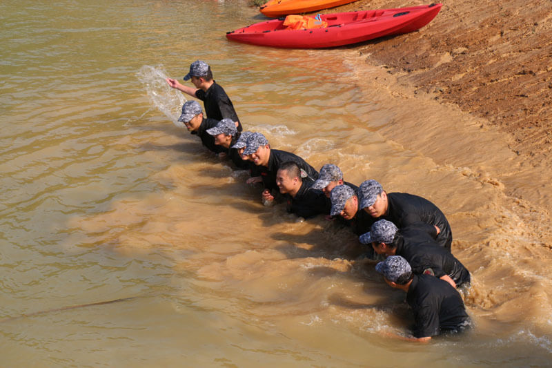 a6831cc54446bffe3e65b9316694741c